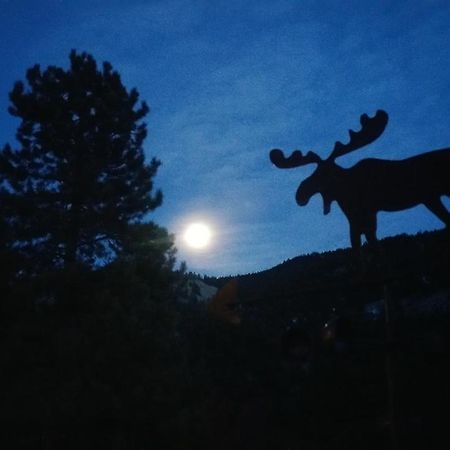 Alpine Moose Lodge Lake City Экстерьер фото