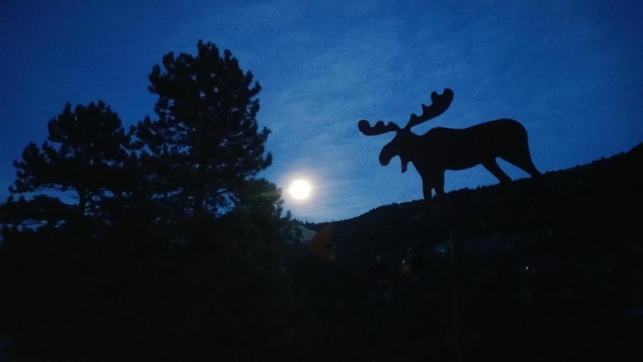 Alpine Moose Lodge Lake City Экстерьер фото